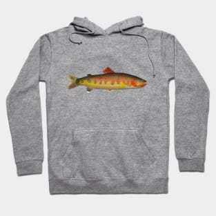 Golden Trout Hoodie